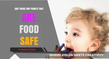 Food-Safe Paints: Exploring Options for Culinary Creativity and Safety