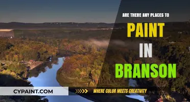 Discover Branson's Best Spots for Painting and Artistic Inspiration