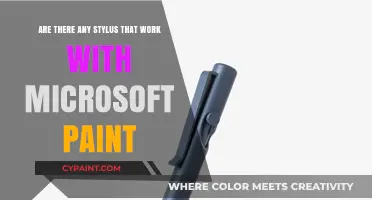 Stylus Options for Microsoft Paint Users