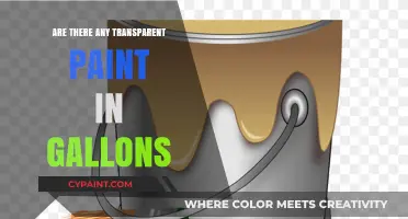 Transparent Paint in Gallons: Availability, Uses, and Top Brands Explained