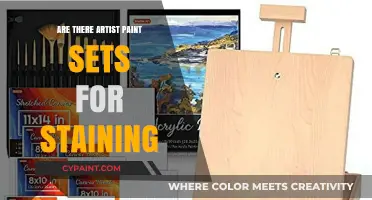 Discover Artist Paint Sets Perfect for Staining Projects and Techniques
