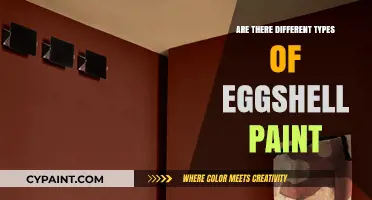 Exploring Eggshell Paint: Understanding the Various Types and Finishes