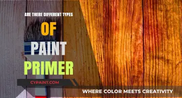 Exploring Paint Primer Types: A Guide to Choosing the Right Base Coat