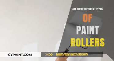 Exploring Paint Roller Types: A Guide to Choosing the Right One