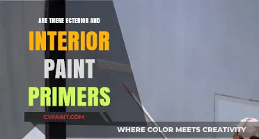 Exterior vs. Interior Paint Primers: Understanding the Key Differences