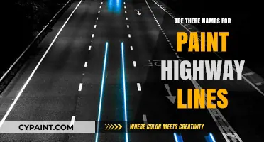 What Are Paint Highway Lines Called? Uncovering Road Marking Names