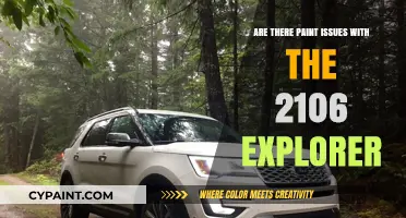 2016 Ford Explorer Paint Problems: Common Issues and Solutions