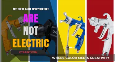 Non-Electric Paint Sprayers: Manual Options for DIY Enthusiasts