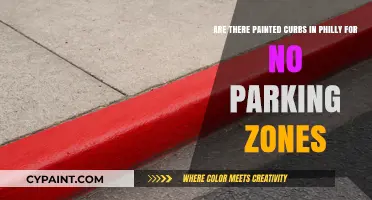 Painted Curbs in Philly: Decoding No Parking Zones and Fines