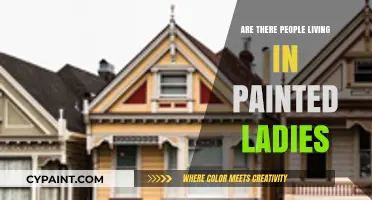 Do People Actually Live in San Francisco's Painted Ladies?