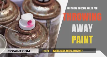 Proper Paint Disposal: Special Rules and Eco-Friendly Tips