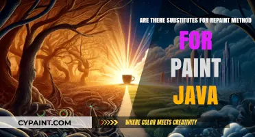 Exploring Alternatives to Repaint Method in Paint Java