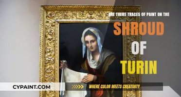 Shroud of Turin: Evidence of Paint or Miraculous Imprint?
