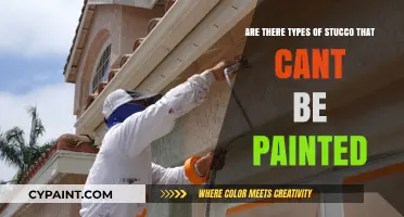 Stucco Painting: Limitations and Compatibility