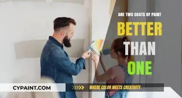 One vs. Two Coats: Which Paint Application is Best?