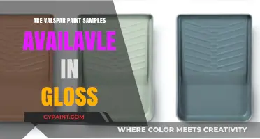 Valspar Paint Samples in Gloss: Availability and Options Explained