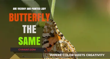 Viceroy vs. Painted Lady: Unraveling the Butterfly Identity Mystery