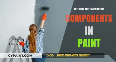 VOCs in Paint: Understanding the Evaporating Components and Their Impact