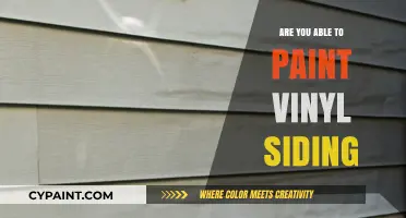 Can You Paint Vinyl Siding? A Complete Guide for Homeowners