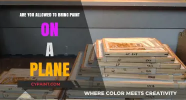Flying with Paint: What You Need to Know