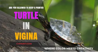 Keeping Painted Turtles in Virginia: Legalities and Care Tips