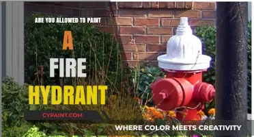 Can You Paint a Fire Hydrant? Legal Insights and Guidelines
