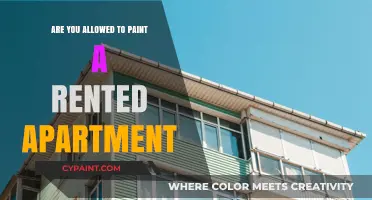Painting Your Rented Apartment: Rules, Tips, and Landlord Approval Guide