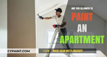 Can You Paint Your Apartment? Rules and Tips for Renters