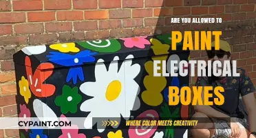 Can You Paint Electrical Boxes? Rules and Safety Tips Revealed
