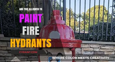 Can You Paint Fire Hydrants? Legal Guidelines and Community Rules