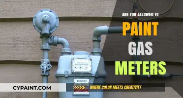 Can You Paint Gas Meters? Legal and Safety Guidelines Explained