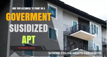 Can You Paint in a Government-Subsidized Apartment? Rules Explained