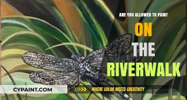 Can You Paint on the Riverwalk? Rules and Guidelines Explained