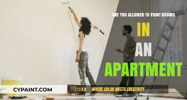 Painting Rooms in a Rented Apartment: What You Need to Know