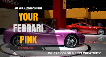 Can You Paint Your Ferrari Pink? Legal and Brand Considerations