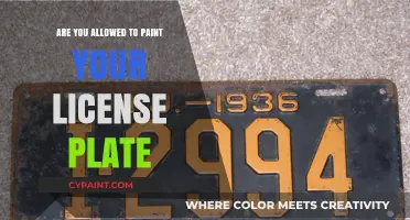 Can You Legally Paint Your License Plate? Rules and Consequences Explained