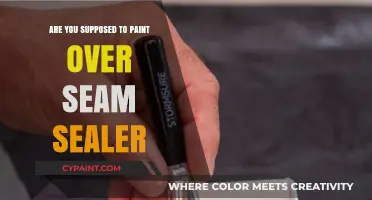 Should You Paint Over Seam Sealer? Expert Tips and Best Practices