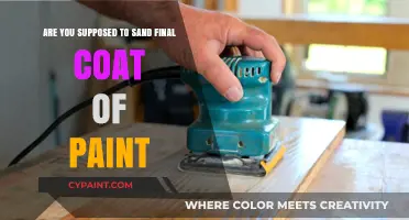 Sanding the Final Coat: To Sand or Not to Sand?