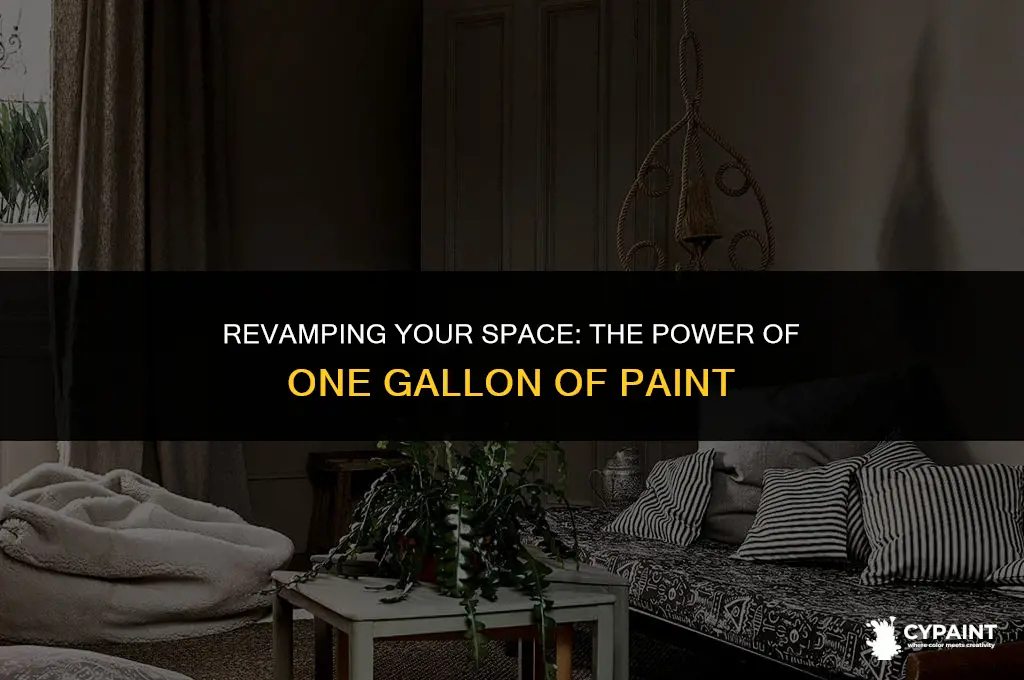 can 1 gallon of paint paint a room