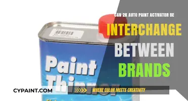 Interchanging 2K Auto Paint Activators: Is It Possible?