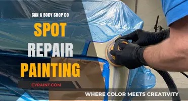 Precision Touch-Ups: Can a Body Shop Do Spot Repair Painting?