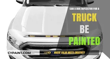 Customizing Your Truck: Painting Bug Deflectors
