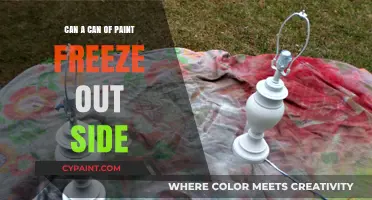 Chilly Hues: Can Paint Really Freeze Outside?