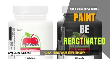 Reviving Creativity: Can Dried Apple Barrel Paint Be Reactivated?