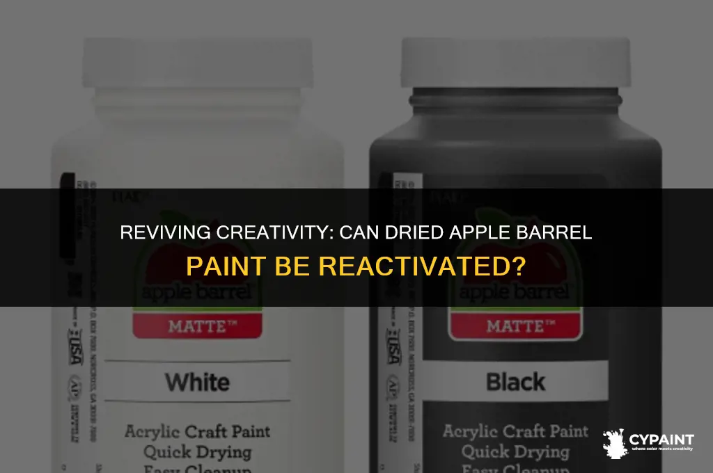 can a dried apple barrel paint be reactivated