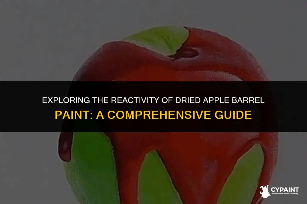 can a dried apple barrel paint be reactive