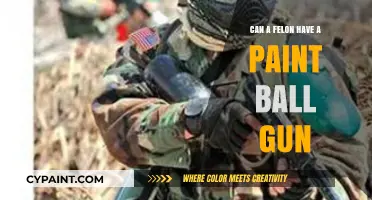 Navigating Legal Boundaries: Paintball Guns and Felony Convictions
