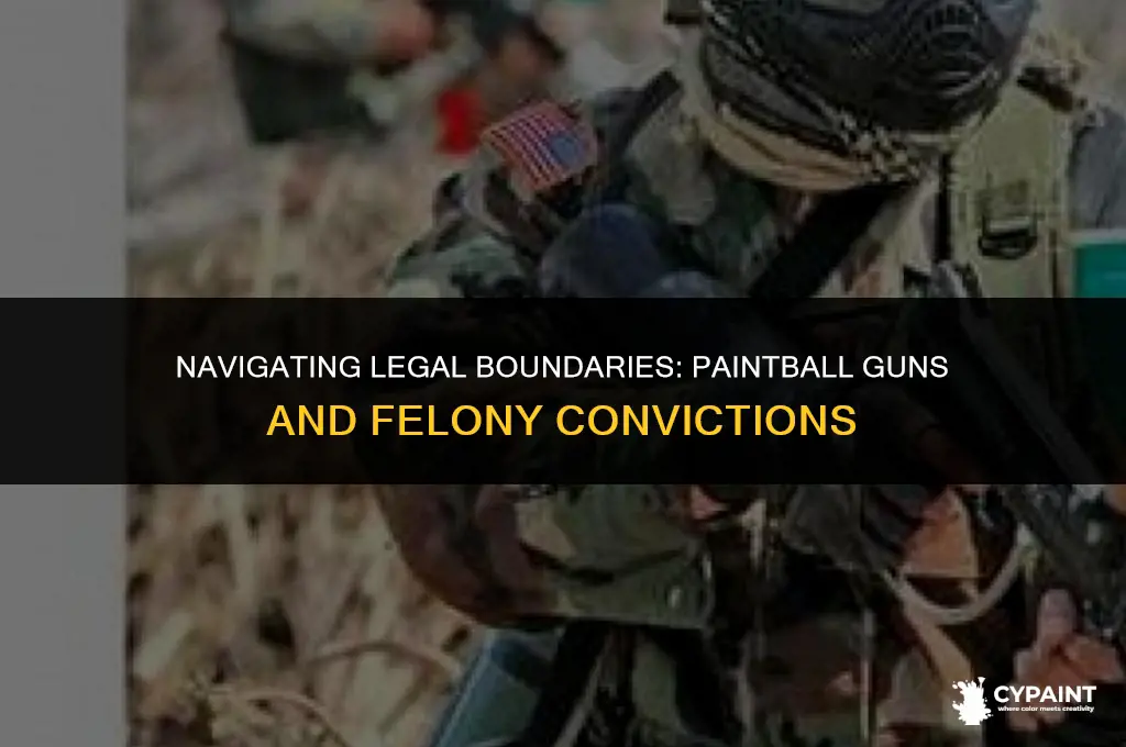 can a felon have a paint ball gun