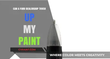 Revamping Your Ride: Can a Ford Dealership Touch Up My Paint?