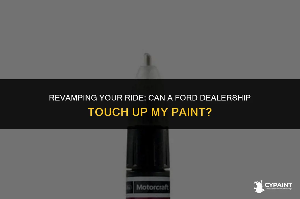 can a ford dealership touch up my paint